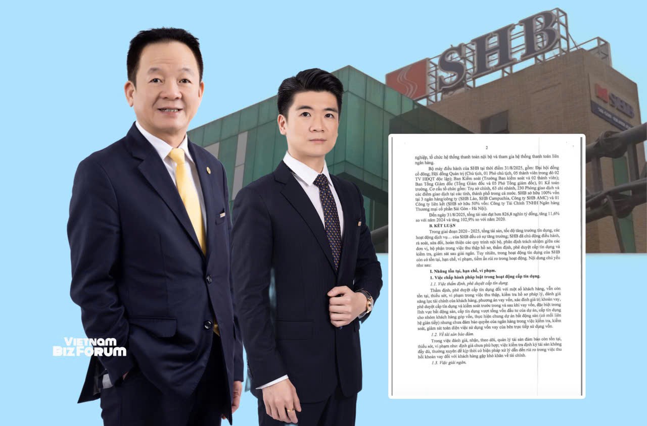 Thanh tra Chính phủ đã nêu ra những vi phạm nào của Ngân hàng SHB?