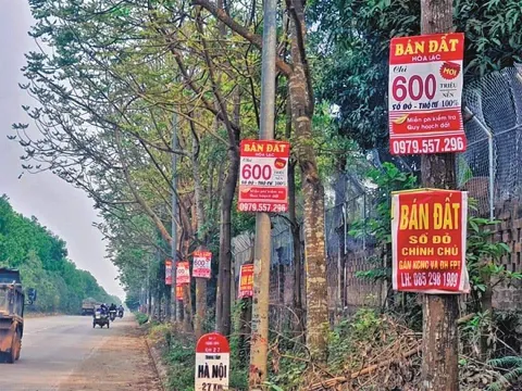 Vài chiêu gây sốt đất, giống gây sốt chứng khoán: Bầy cá Mập