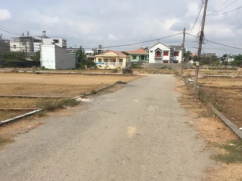 Những lưu ý khi mua đất trồng cây lâu năm