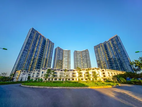 Cảm nhận mùa thu giữa không gian đô thị Xanh của Sunshine Group