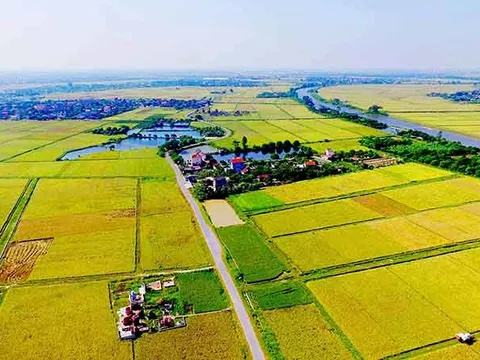 Đất nông nghiệp đã hết hạn sử dụng có bán được không?