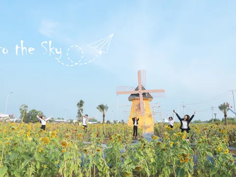 Cùng hội bạn thân lập kèo check in tại cánh đồng hoa mặt trời lớn nhất khu Tây thành phố